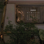 August 2022 wallpapers – 55 FREE desktop & phone calendars!