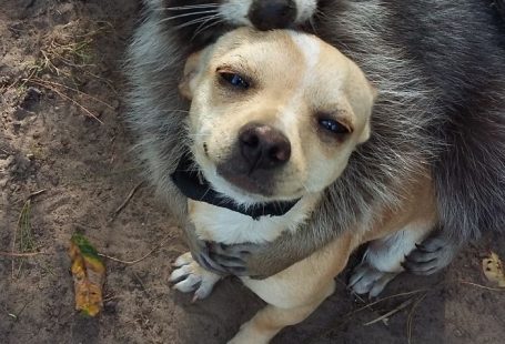 Family Isn't Always Blood