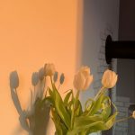 not my photo, follow me @thehoodfairy