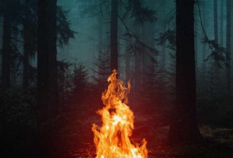 wallpaper colorful | wallpaper ideas | wallpapers for iphone | Iphone wallpapers | mobile wallpaper