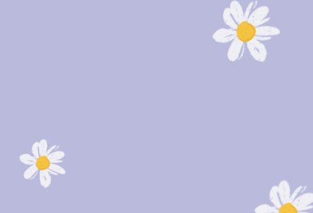 Daisy Purple Mobile Phone Free Wallpaper