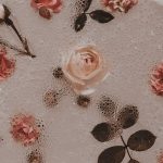 Roses wallpaper