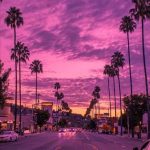 Wallpaper for phone | обои для телефона in 2022 | Landscape wallpaper, Sky aesthetic, Miami wallpaper