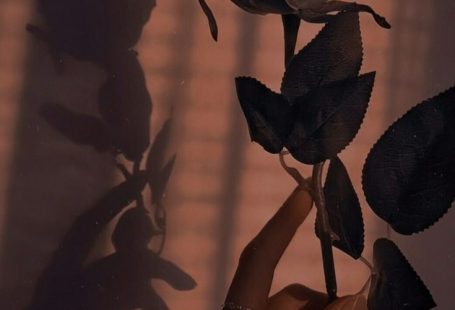 ما اجمل رائحت الورود 🌹🥀 in 2022 | Flowers photography wallpaper, Photography wallpaper, Flowers photography