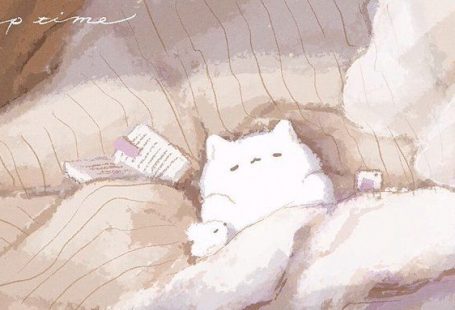 ねこぶとん on Twitter