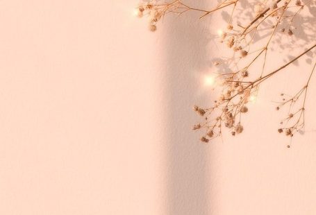 Download premium image of Dried flower window shadow floral background by Ning about wallpaper, beige aesthetic photo, iphone wallpaper, flower background, and beige sparkle dried flower image background 2685489