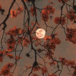 Pin by Rabi on W A L L P A P E R | Cute fall wallpaper, Fall wallpaper, Cute wallpaper backgrounds