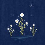 Lockscreen flowers daisy wallpaper free download | PNGtree