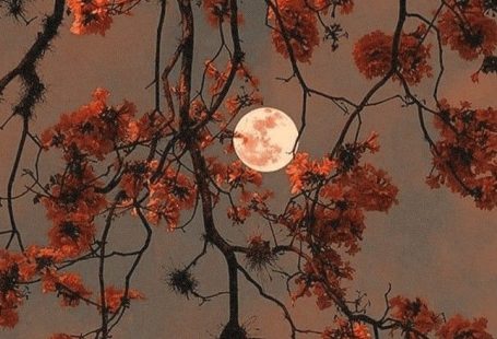 Pin by Rabi on W A L L P A P E R | Cute fall wallpaper, Fall wallpaper, Cute wallpaper backgrounds