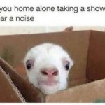 These Goat Memes Are the Greatest of All Time (25 Memes)