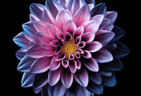 ‎Everpix Cool Wallpapers HD 4K