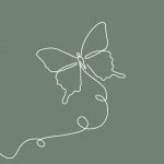 Butterfly Wallpaper