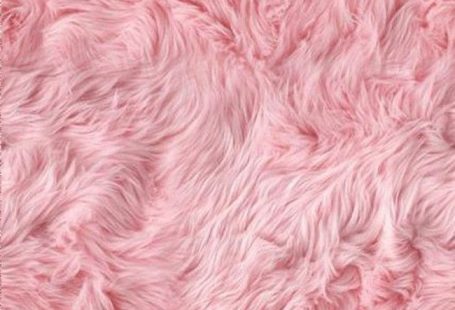 One Thousand Library Network   Warm And Soft Pink Furry Background H5
