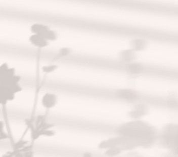 Free Vector | Aesthetic phone wallpaper background vector, leaf shadow with natural light