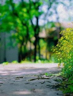 Free  Water, Tree, Park Background Images, Waterfall River Forest Landscape Background Photo Background PNG and Vectors