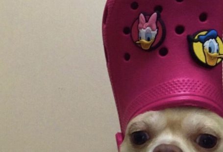 Me when i talk to my friends: