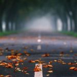 A Collection of Pathway and Roadway Photos to Lead You