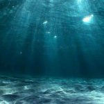 Deep Sea HD Picture