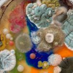 Disgustingly Beautiful Mold Art