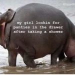 Filthy Sex Memes for Dirty Minds (70 Memes)
