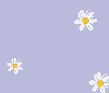 Fondo Fondo De Pantalla De Teléfono Móvil Púrpura Pequeña Daisy Fondo, Margaritas Pequeñas, Fondo Morado, Flores Blancas Imagen de Fondo Para Descarga Gratuita - Pngtreee