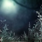Free  Crystal, Tree, Snow Background Images, Ice Sky Weather Landscape Background Photo Background PNG and Vectors