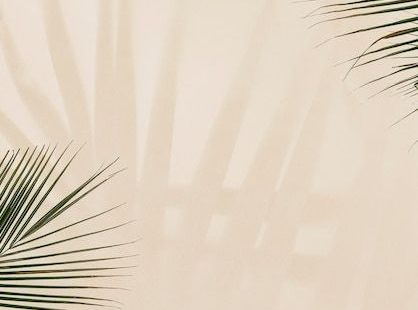 Free Photo | Fresh palm leaves on beige background