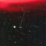 Freepik | Crie designs excelentes, mais rapidamente