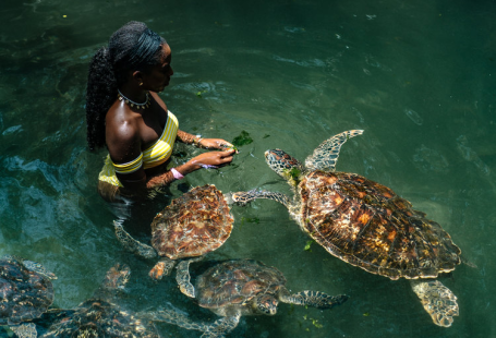 PARADISE FOUND: 30+ PHOTOS TO INSPIRE YOUR NEXT TRIP TO ZANZIBAR — Spirited Pursuit