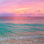 Pink Beach Wallpaper: 31 Gorgeous Beach Scenes (free)