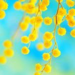 What Were You In A Past Life According To The Colors You Choose?