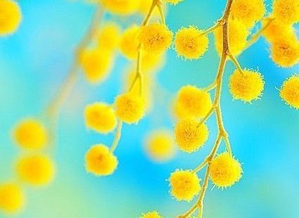 What Were You In A Past Life According To The Colors You Choose?