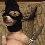 hola
