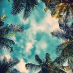 15 Cute iPhone Wallpapers HD Quality – Free Download!