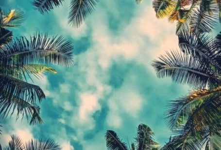 15 Cute iPhone Wallpapers HD Quality – Free Download!