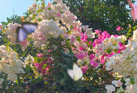 Aesthetic can also reflect cultural or personal teastes and identities the ways people choose to prs