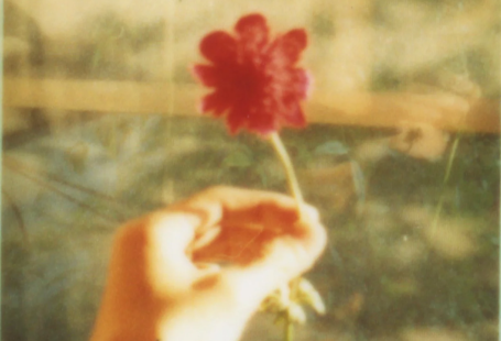 Creativity in Crisis: How Some of Our Favorite Photographers and Visual Artists Are Coping in Quarantine