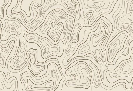 Fondo con topografía | Vector Premium