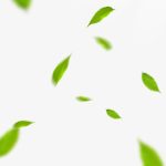 Green Tea Background Material PNG Images,  Tea, Green, Stump PNG Transparent Background - Pngtree