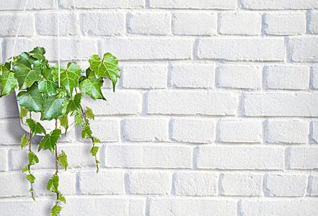 H5 Background, Paredes, Verdes De La Vid Imágenes de fondo gratuitas, Pequeño Fondo Fresco Background H5 Foto de fondo PNG y vectores