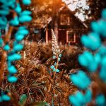 New Hd Background - Full Hd Background - Cb Background Hd