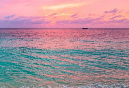 Pink Beach Wallpaper: 31 Gorgeous Beach Scenes (free)