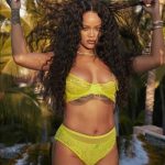 Rihanna shows off her enviable curves in sexy lingerie