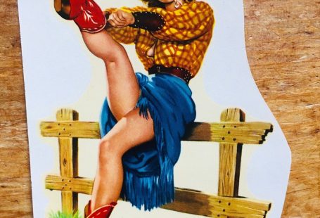 Vintage Pin Up Graphic Design