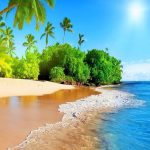 Wallpaper For iPhones