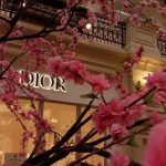 Wallpapers | Обои для телефона | Dior