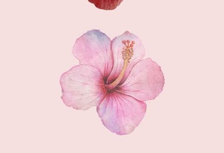 25 Super Pretty Wallpaper Backgrounds For iPhone You'll Love