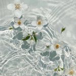 37 Dresses That I Made Out Of Flower Petals, Leaves And Stems For These Illustrations in 2024 | Beautiful flowers pictures, Hibiscus flowers, Tropical flowers