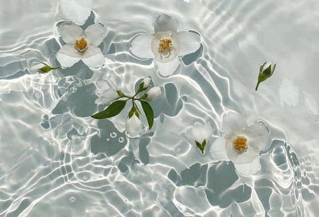 37 Dresses That I Made Out Of Flower Petals, Leaves And Stems For These Illustrations in 2024 | Beautiful flowers pictures, Hibiscus flowers, Tropical flowers
