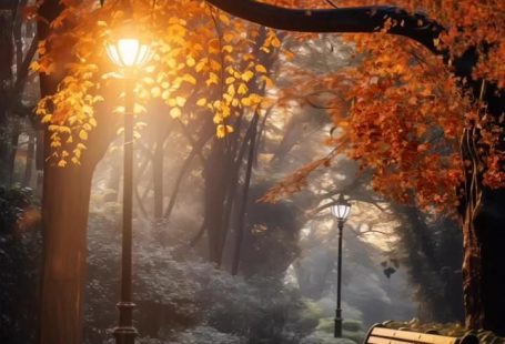 Autumn in the park